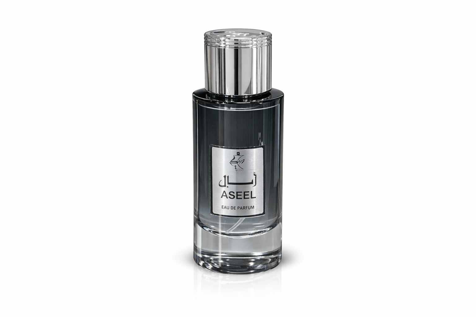 Aseel - Musky Perfumes Eau de Parfum (100 ml | 3.4 oz)